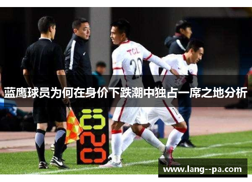 蓝鹰球员为何在身价下跌潮中独占一席之地分析